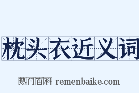 枕头衣近义词是什么意思的图片